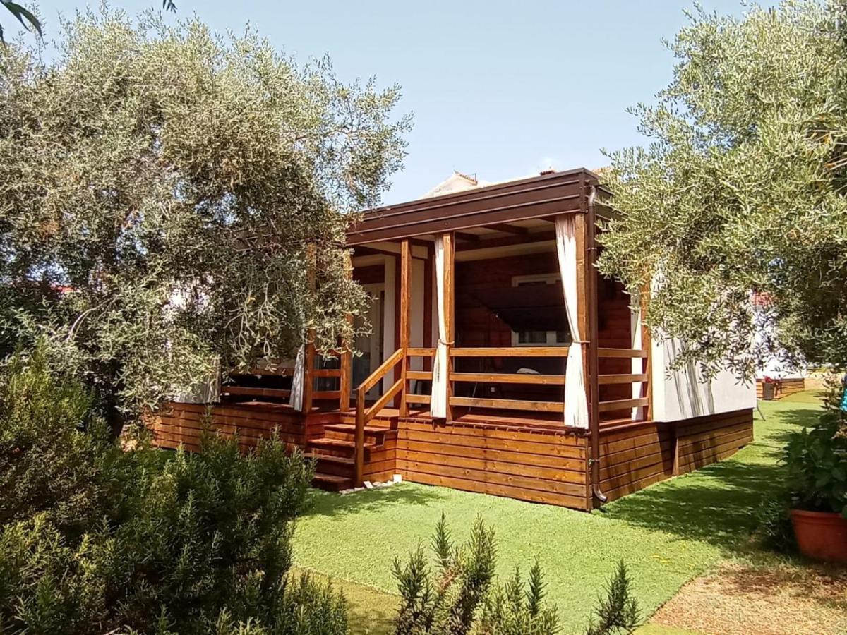 Mobile Homes Olive And Sea Bibinje Exterior photo